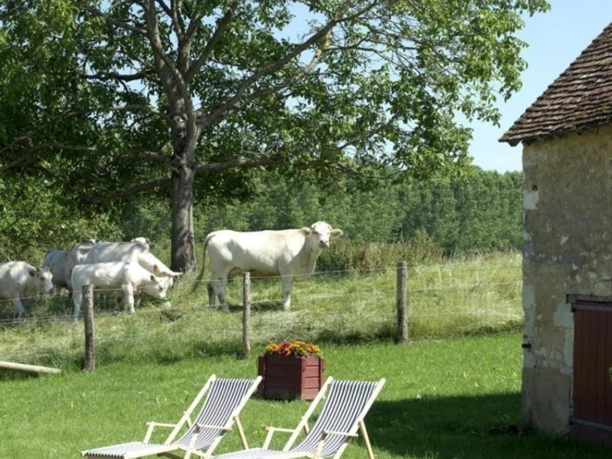 Gite Authentique Au Coeur Du Perche, 18Eme Siecle, Cheminee, Jardin Clos, Animaux Acceptes, Wifi Inclus. - Fr-1-497-49 Pervencheres المظهر الخارجي الصورة
