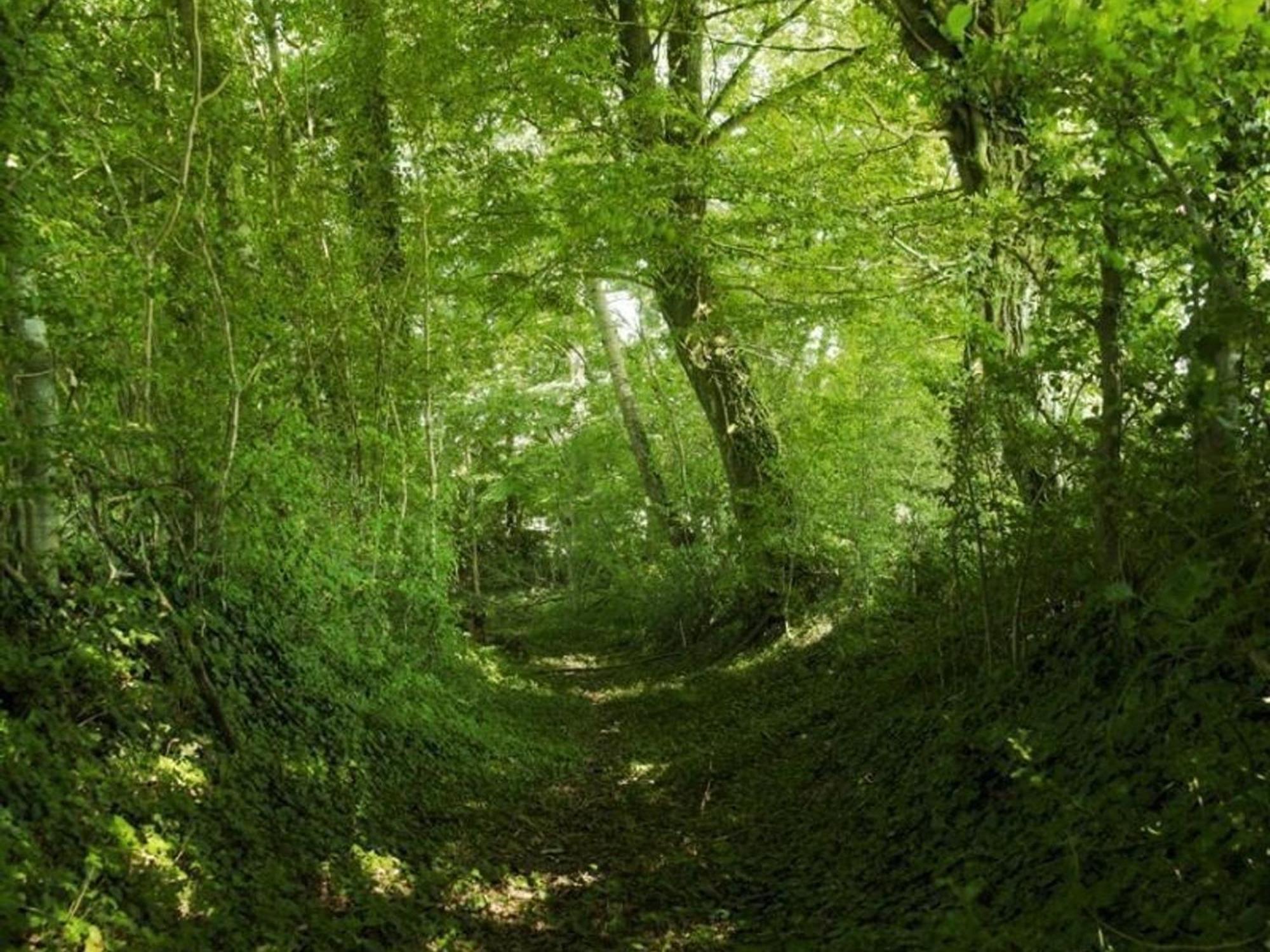 Gite Authentique Au Coeur Du Perche, 18Eme Siecle, Cheminee, Jardin Clos, Animaux Acceptes, Wifi Inclus. - Fr-1-497-49 Pervencheres المظهر الخارجي الصورة